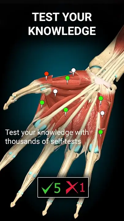3D-Anatomy-MOD-APK
