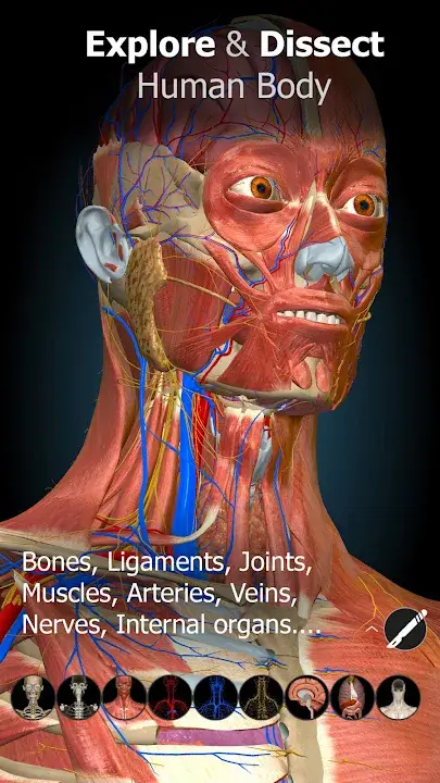 3D-Anatomy-MOD-APK