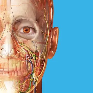 Human Anatomy Atlas 2025 v2025 00 012 MOD APK Unlocked All