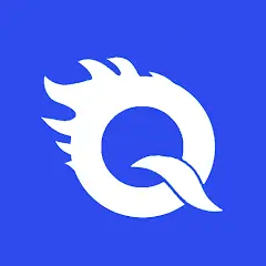 Quick VPN v2 52 APK   MOD Premium Unlocked for Android