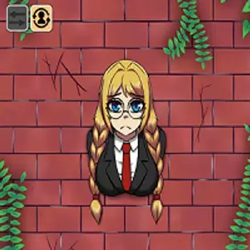 Another Girl In The Wall Banner