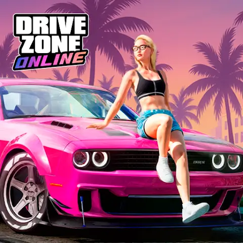 Drive Zone Online Banner