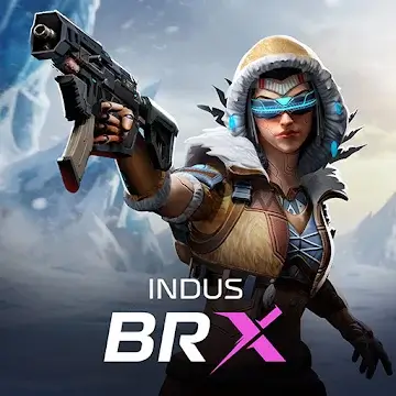 Indus BRX Banner