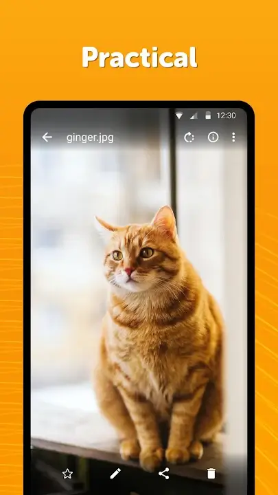 Simple Gallery Pro MOD APK