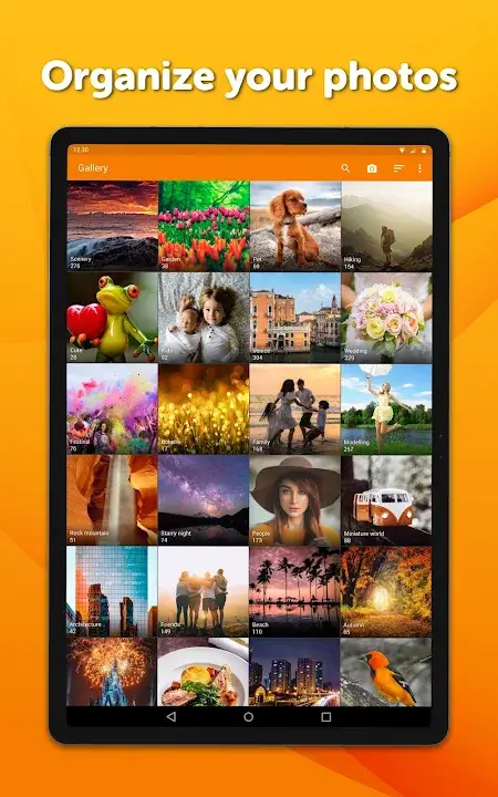 Simple Gallery Pro MOD APK